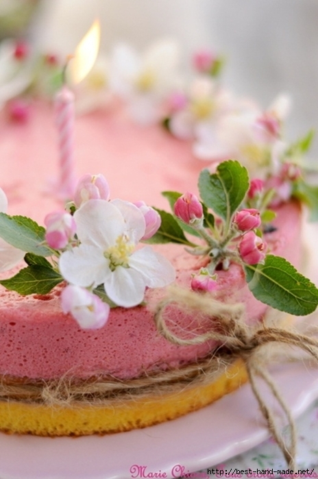 cake_love_pink_strawberry_apple_blossom2 (464x700, 199Kb)