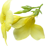 0_90d41_c926f2b5_S (147x150, 31Kb)