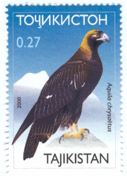 Aquila_chrysaetos_tajikistan_stamp (248x343, 100Kb)
