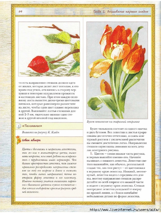 aifa (63) (529x700, 360Kb)