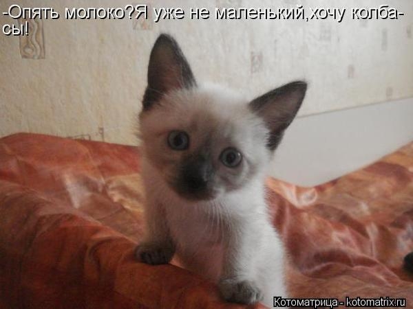 7e7a246467450b482d08c2f90d7200bf_94009 (600x450, 105Kb)
