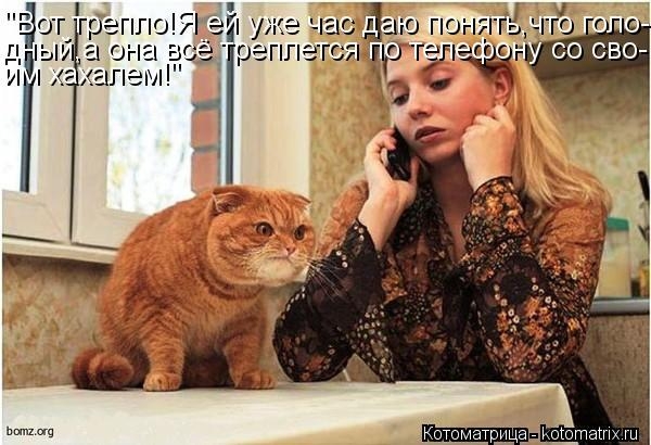 54ebfb4fd863966a56c9f9cfa836bf27_94009 (600x410, 157Kb)
