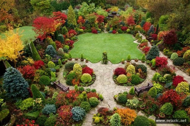 Topiary_00005 (640x426, 220Kb)