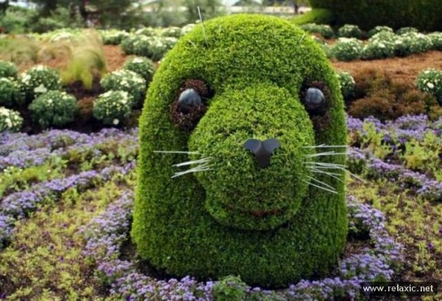 Topiary_002 (640x437, 167Kb)