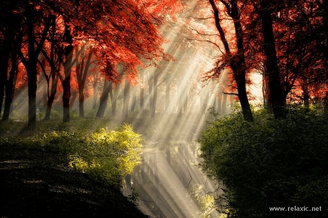 Sun_rays_001 (640x426, 182Kb)