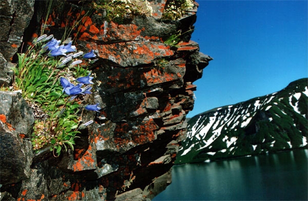 kamchatka_lake_kluch_jpg (600x392, 211Kb)