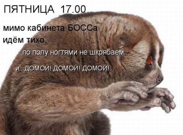 LkUrRS1Oe6w (604x445, 146Kb)