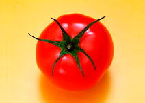 /3236062_pomidor (212x150, 10Kb)