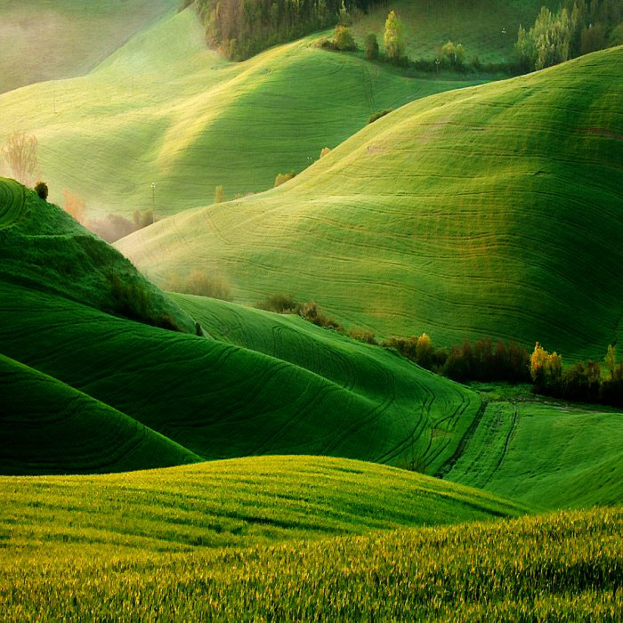 800 (700x700, 151Kb)