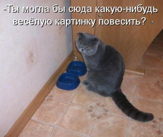 5 (530x443, 326Kb)