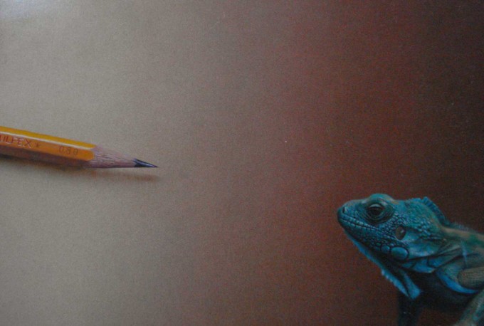 3623822_10236 (680x458, 54Kb)