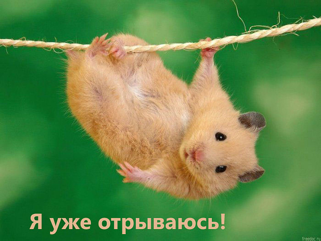 0831f34eb121da477d81740d90a7cb76 (650x488, 122Kb)