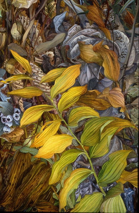 3623822_j29 (457x700, 142Kb)