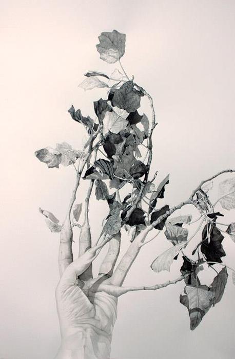 3623822_Fabien_Merelle___drawings___sculptures_5 (458x700, 37Kb)