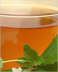 20110829-herbal-teas_10 (200x250, 32Kb)