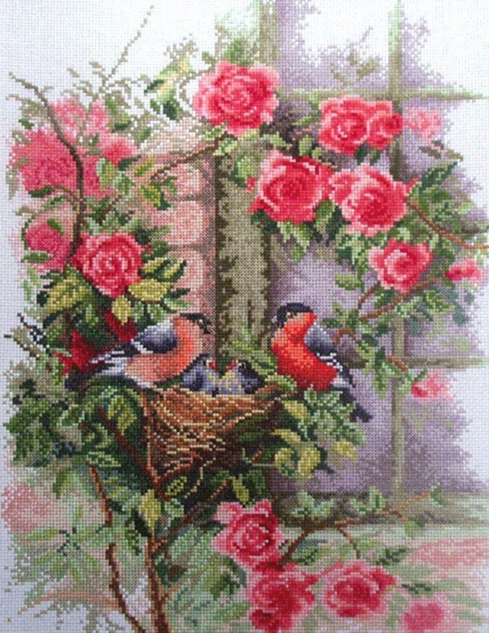 Stitchart-Nesting-Birds-in-Rambling-Roses0 (540x700, 494Kb)