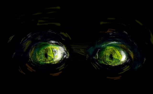 getImage (80) (640x393, 54Kb)