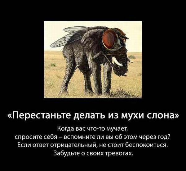 5107888_Stimka_ru_1326017163_sovet002 (600x551, 45Kb)