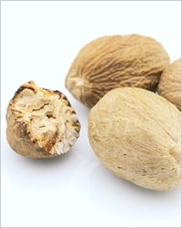 20110113-nutmeg_5 (200x250, 48Kb)