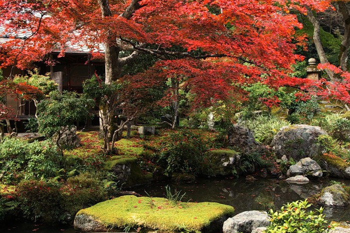japanese_seasons_23 (700x466, 181Kb)