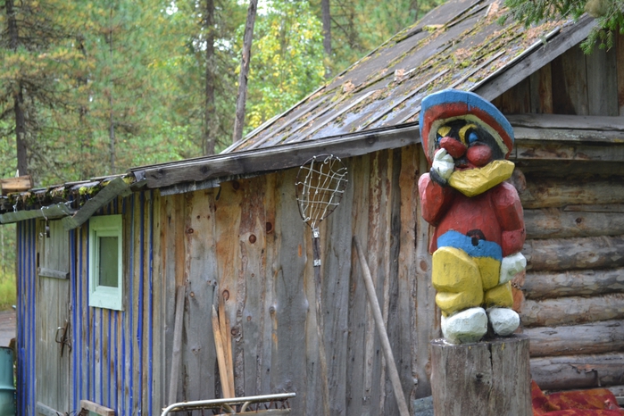 DSC_0987 (700x466, 292Kb)