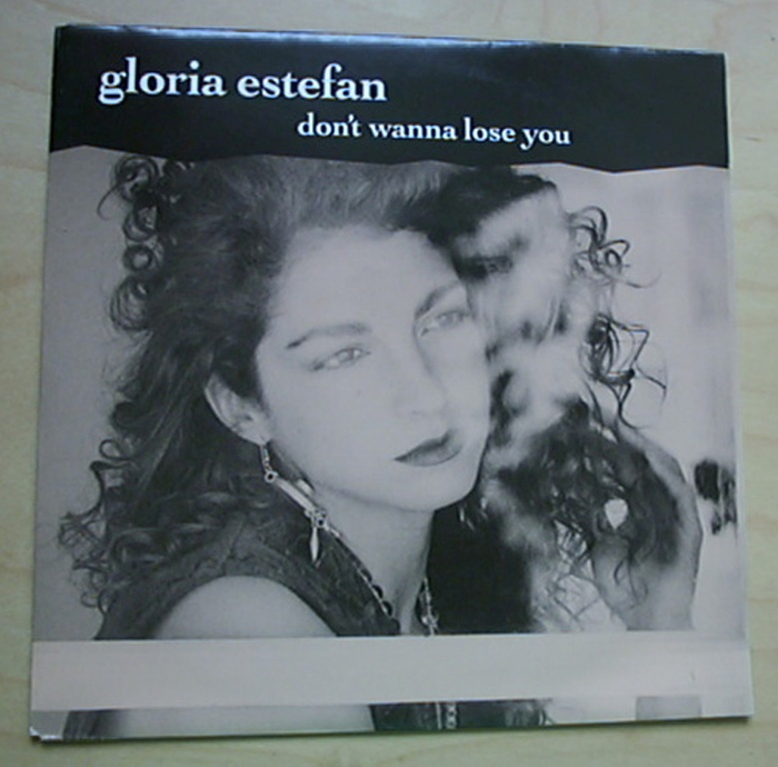 Gloria EstefanDon't Wanna Lose You'a.  (700x690, 347Kb)