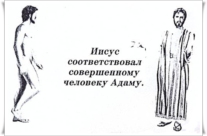 4315980_Iisys_takje_Adam (672x441, 116Kb)