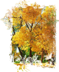  4 (540x659, 963Kb)