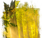  25 (700x638, 827Kb)