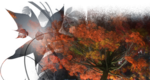  62 (700x373, 476Kb)