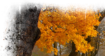  66 (700x373, 549Kb)