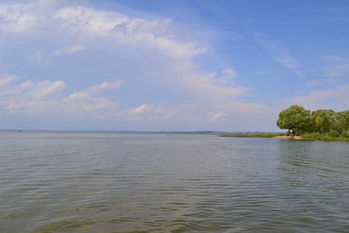 DSC_3090 (700x466, 324Kb)