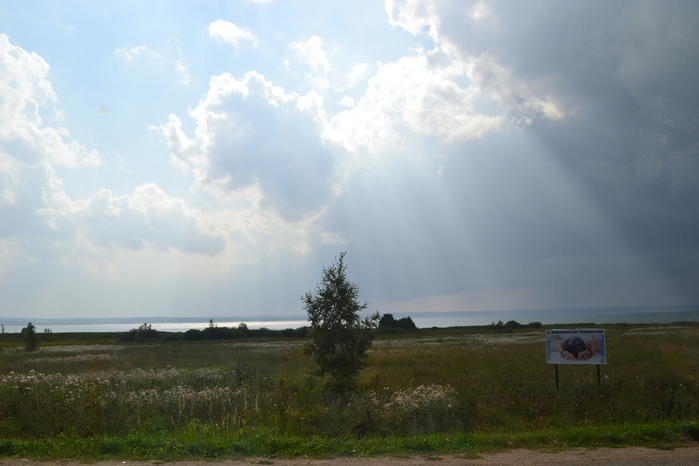 DSC_3112 (700x466, 325Kb)