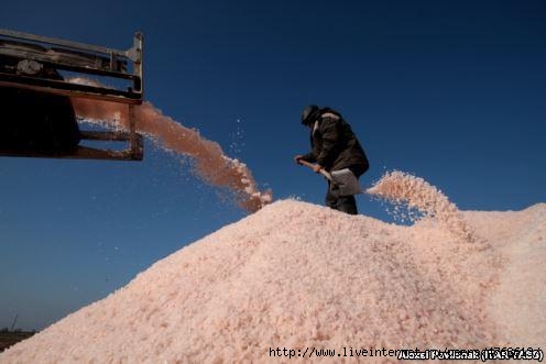 соль 3 Розовую соль в Крыму собирали в течение веков, она была одним из продуктов, которым славилась труд чумаков. Фото Радио Свобода0312 (496x331, 67Kb)