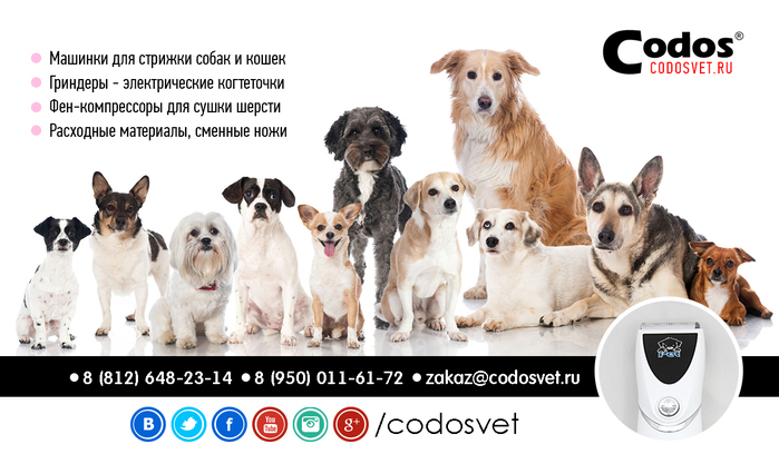 CODOS -    /1302958_codos_ad_08 (700x408, 205Kb)
