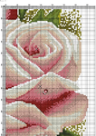 Roses-004 (494x700, 563Kb)