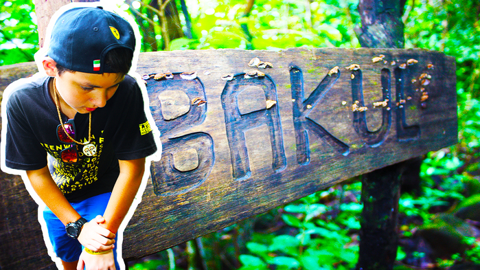 5783185_VLOG_ (700x393, 491Kb)