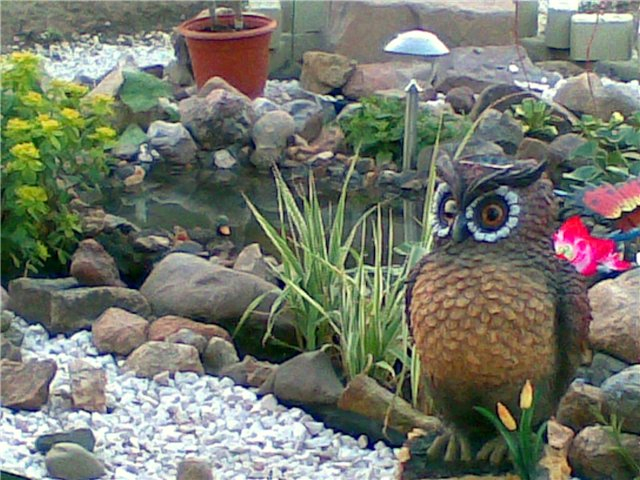 74030457_58e25e4449d8 (640x480, 341Kb)