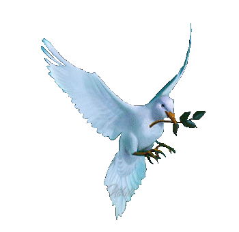 12214721 (350x339, 78Kb)