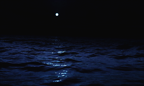 pic (500x301, 2407Kb)