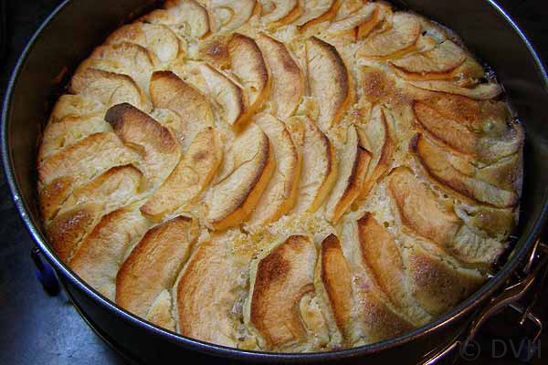 Pirog-s-jablokami-i-slivami13 (600x400, 66Kb)