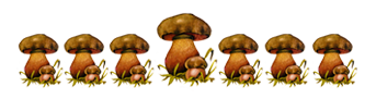 1443531756_3ebffd1ea7 (343x91, 47Kb)