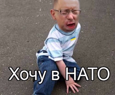 ЯЙЦЕНЮХ - хочу в НАТО!!! (480x394, 124Kb)