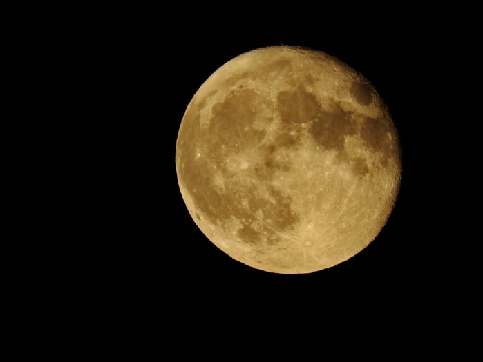 5559494_DSCN5555 (700x525, 74Kb)