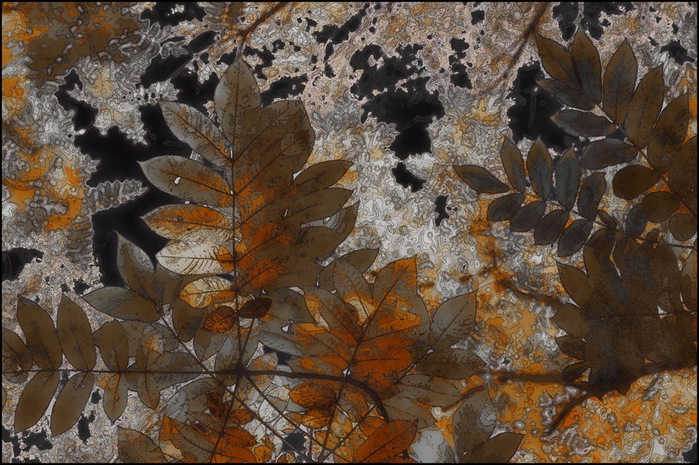 Park_III (700x465, 178Kb)