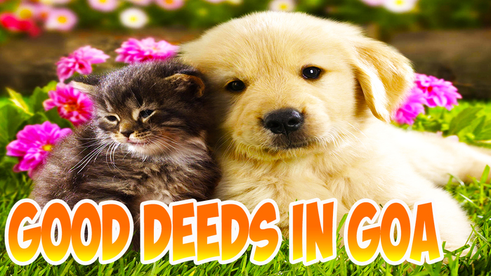 5783185_DOBROE_DELO (700x393, 363Kb)
