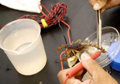 4592859_1444091754_a04n1cie1_1_ (400x280, 13Kb)