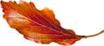 4617818_0_df0e1_31d82d18_S (150x66, 14Kb)