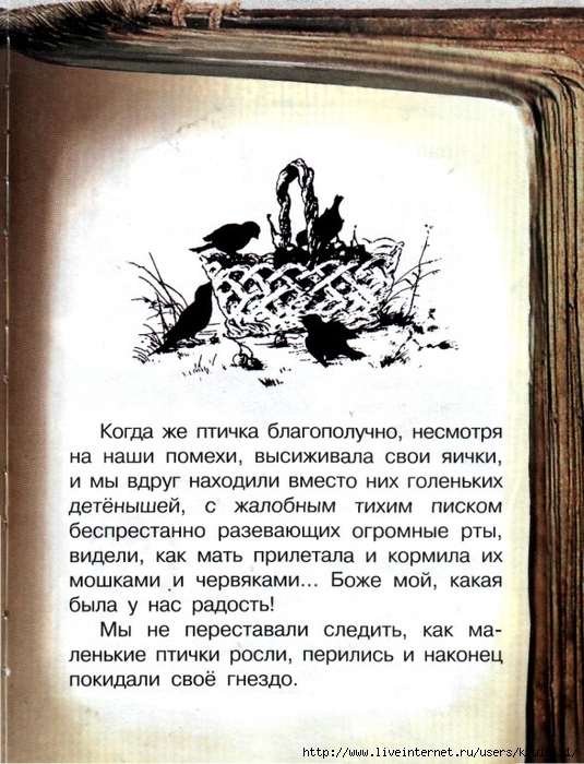 С аксаков гнездо 1 класс презентация