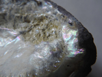  DSCN58492 (700x525, 370Kb)